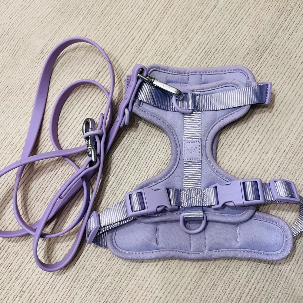 Wild One Lilac Harness and Leash - Small